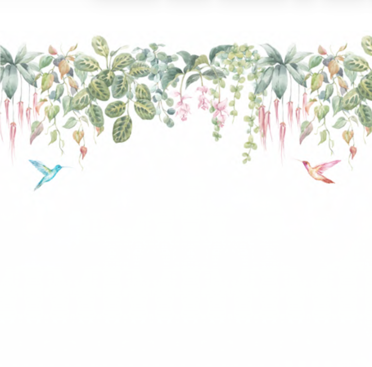 Flores y Colibris