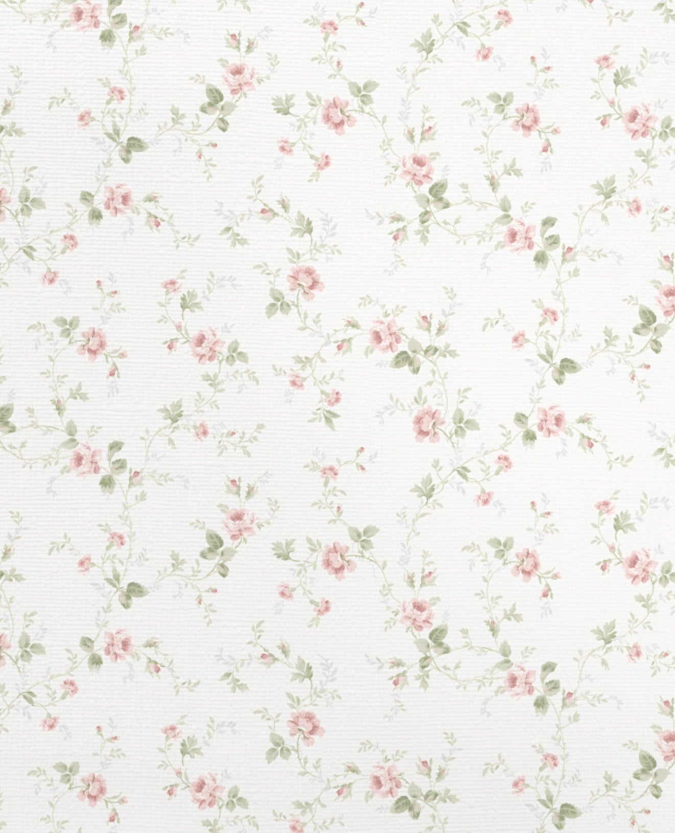Rose Vigne