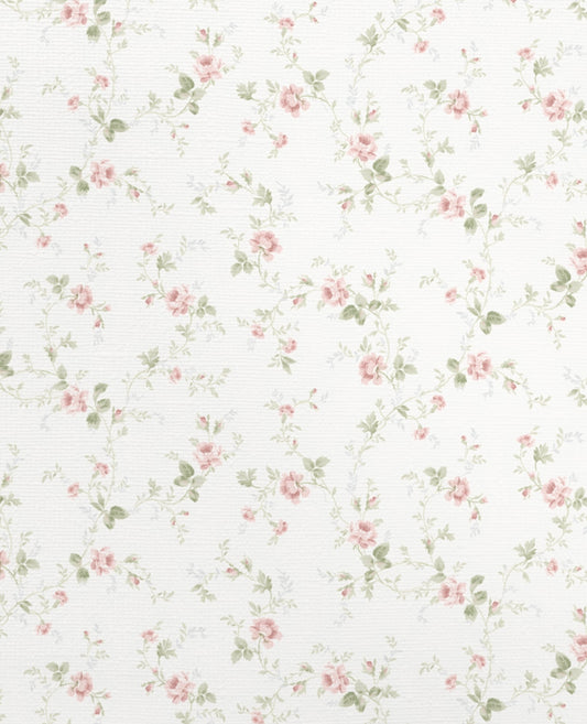 Rose Vigne