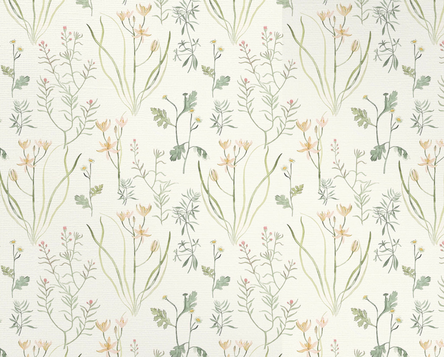Botanical