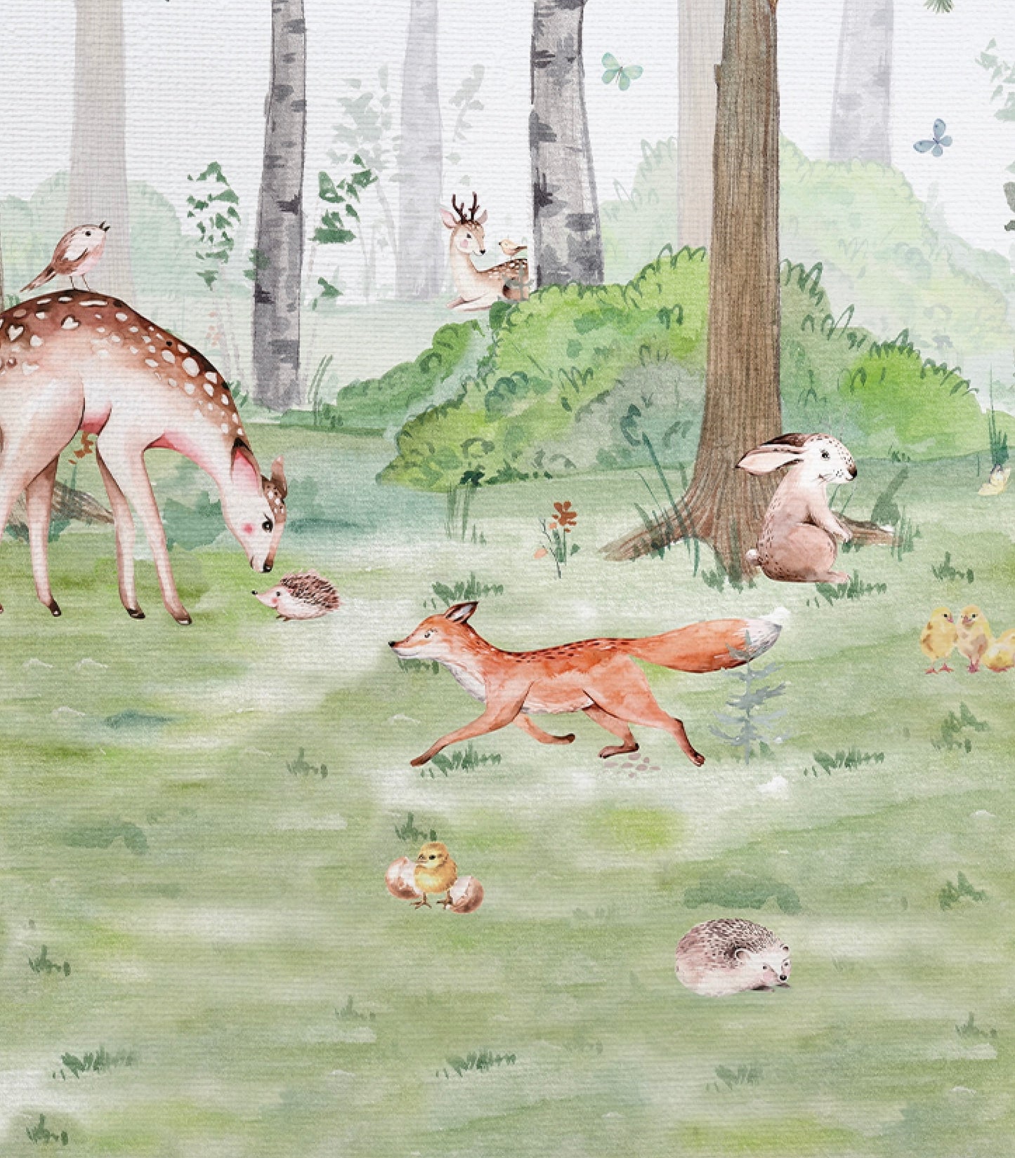 Forest Animals