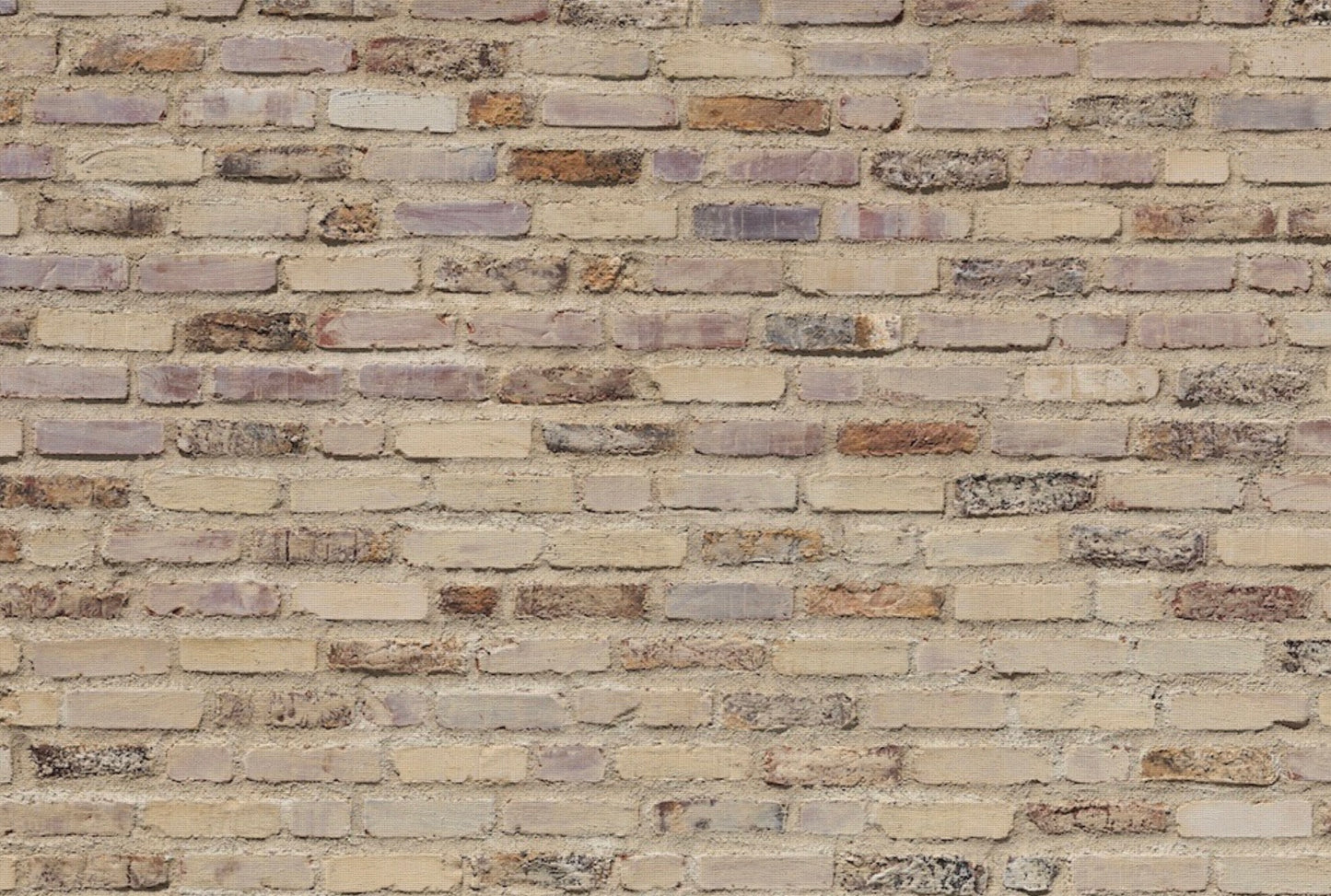 Ladrillos Beige