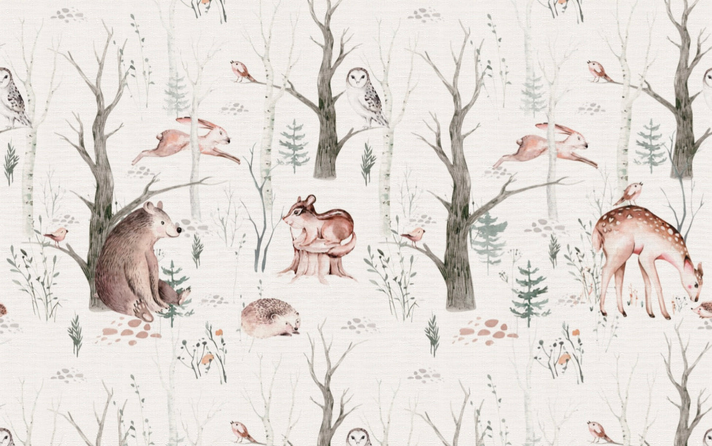 Pretty Forest