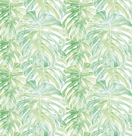 Helechos fluor