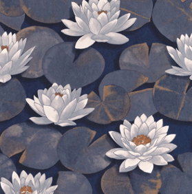 Water Lilys