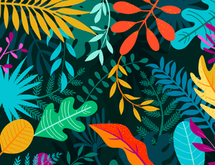 Flora Color