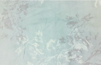 Fondo Floral