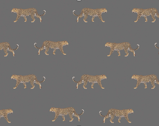 Leopardos gris