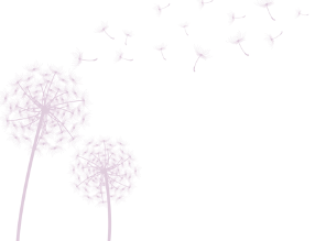 Dandilion Pink