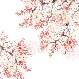 Cerezos en Flor