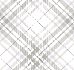 Escoces Gris