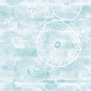 Jellyfish