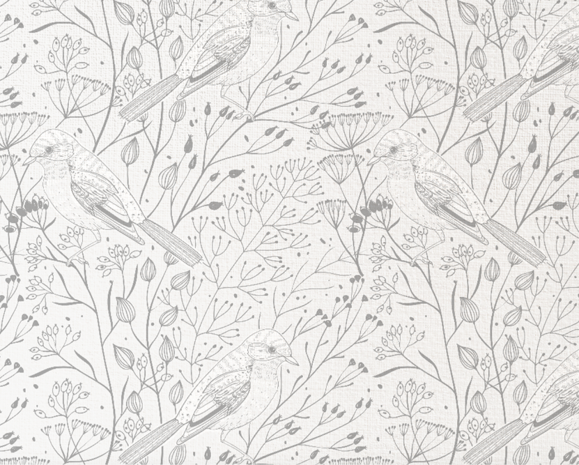 Aves Grey