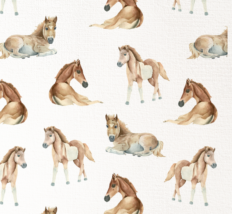 Baby Horses