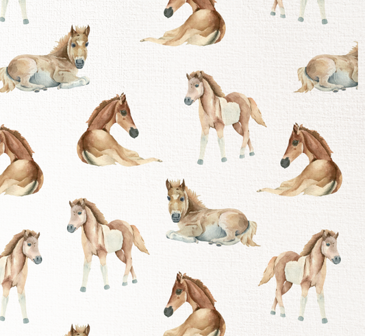 Baby Horses
