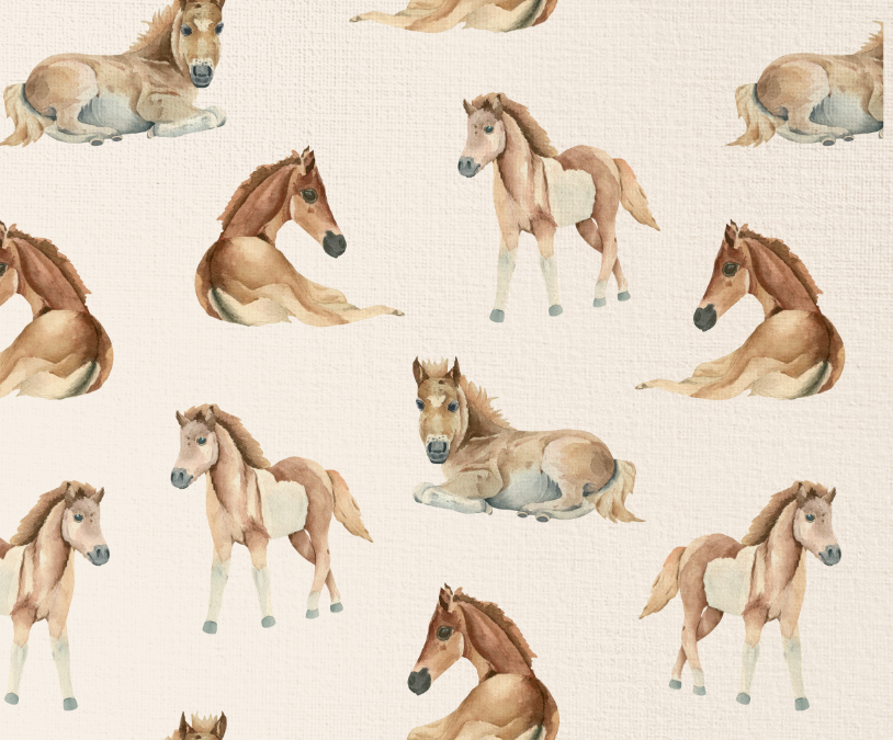 Baby Horses