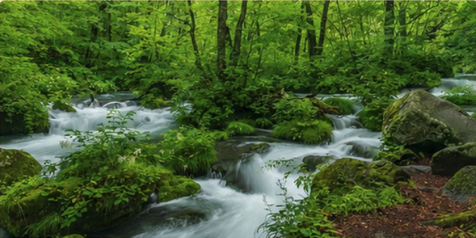 Río del Bosque