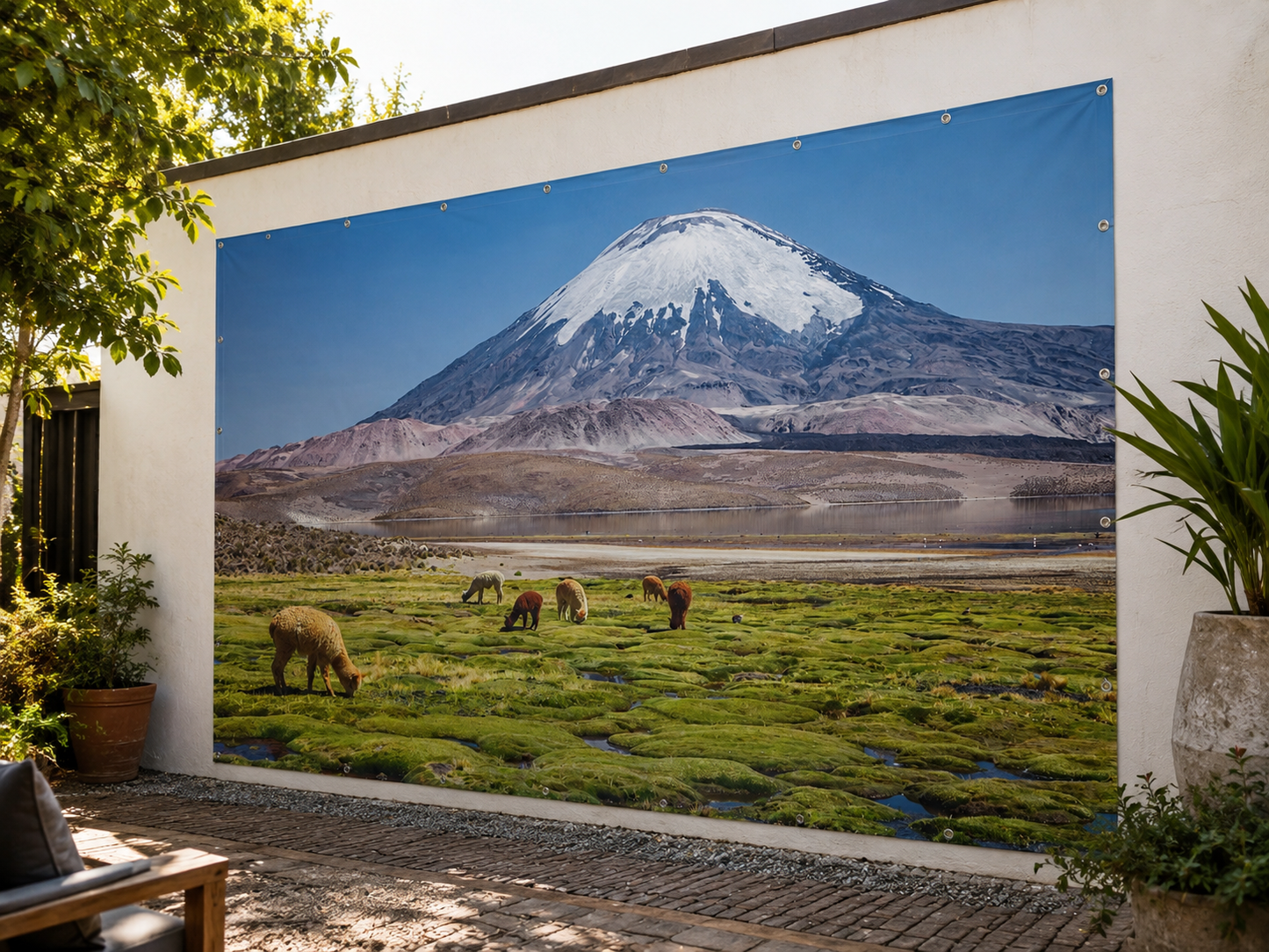 Altiplano Andino