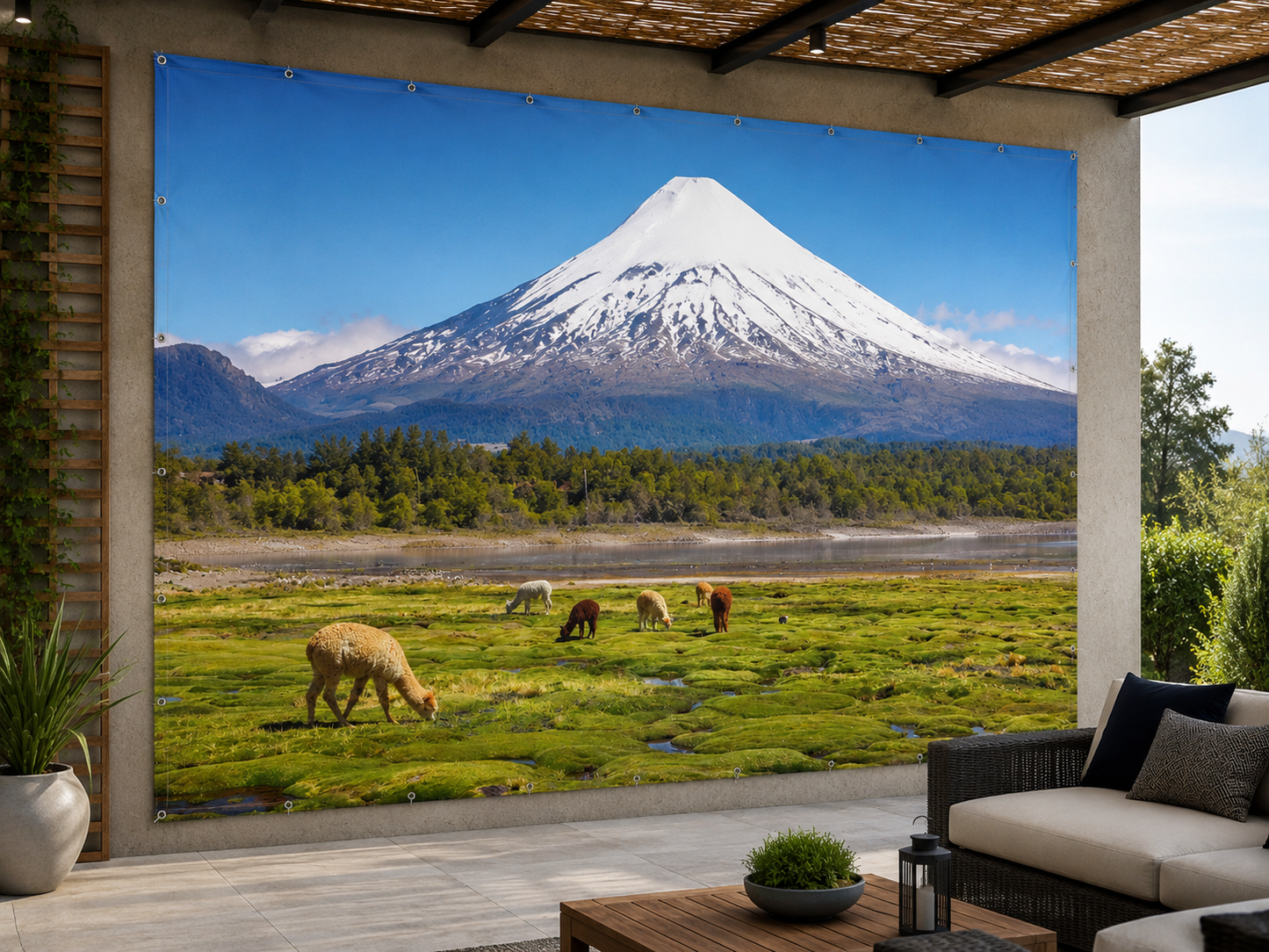 Altiplano Andino