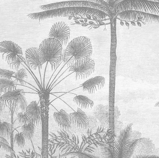 Grabado Palmeras