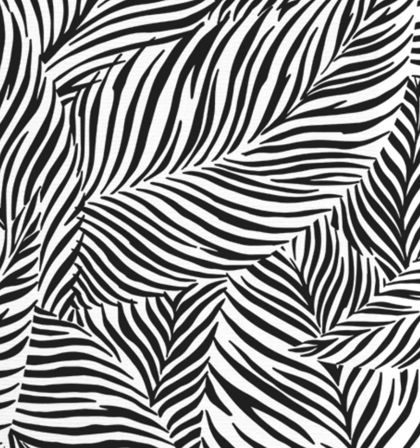 Textura Zebra