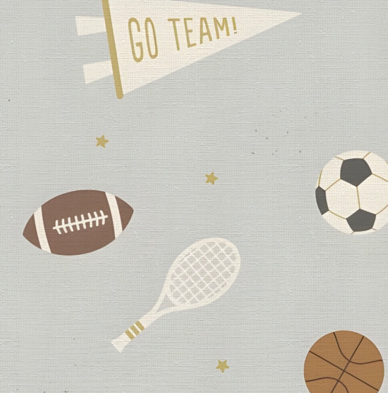 Sport Balls