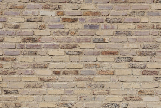 Ladrillos Beige
