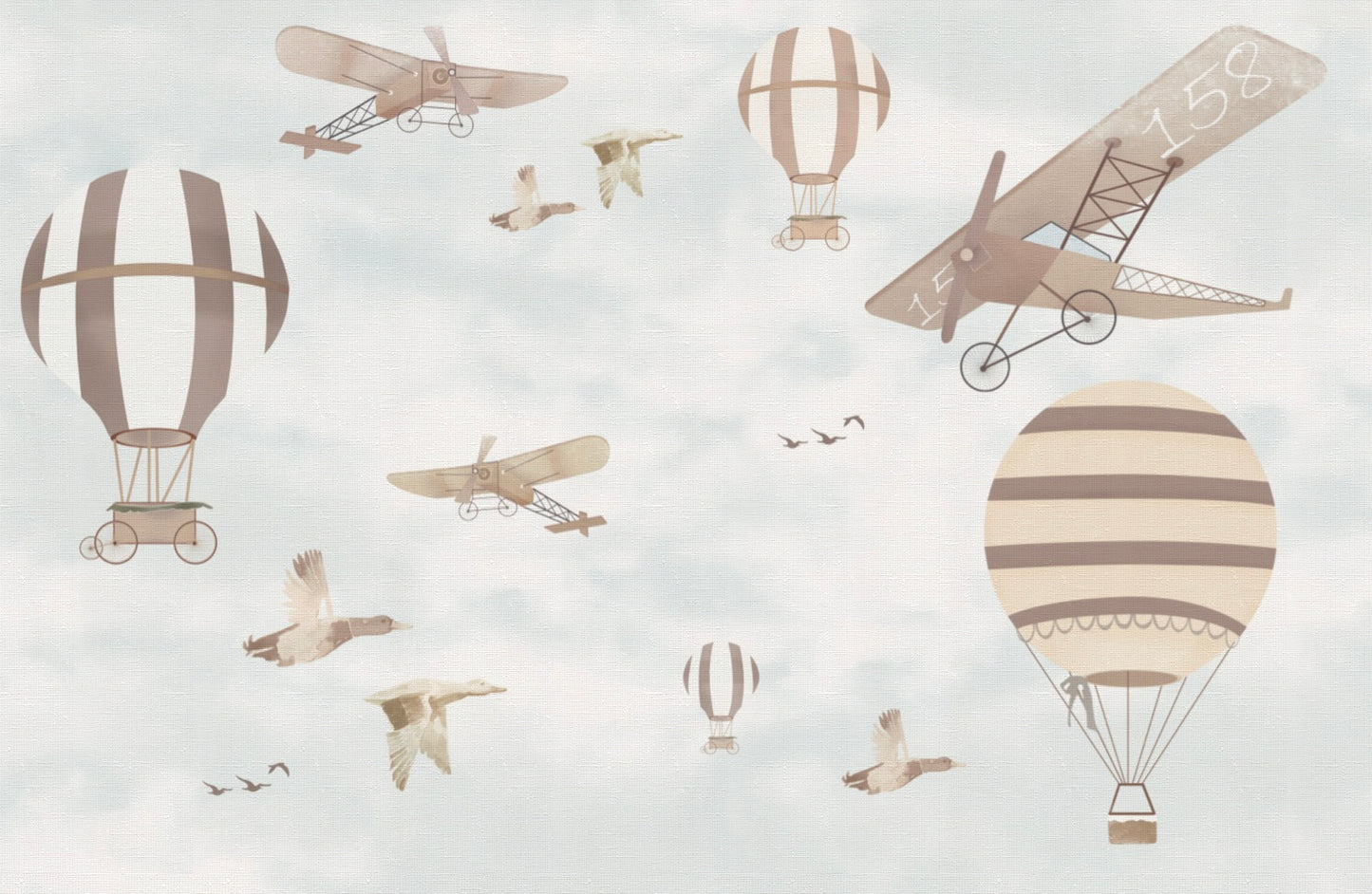 Hot Air Balloons