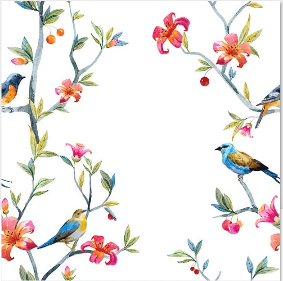 Tropical Birds