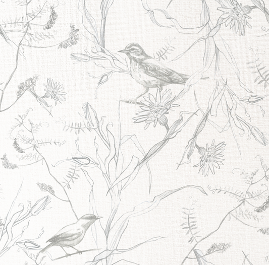 Aves Grafito