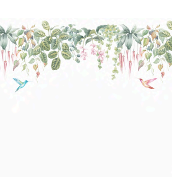 Flores y Colibris