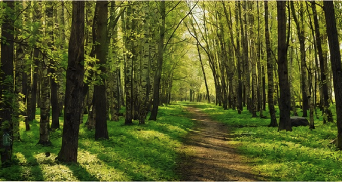 Sendero de Primavera