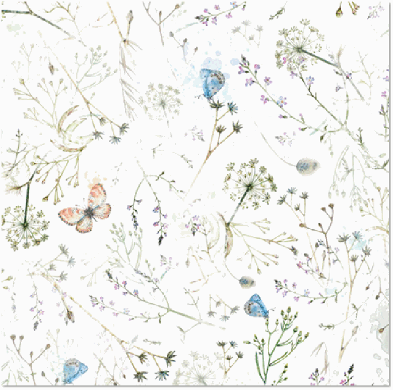 Butterflies & Flowers