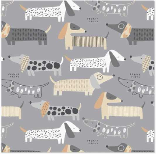 Dogs Grey