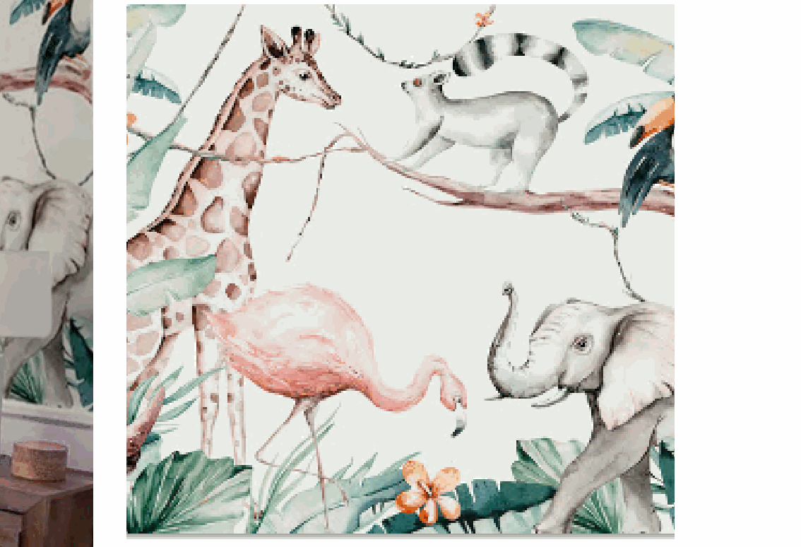 Safari Kids